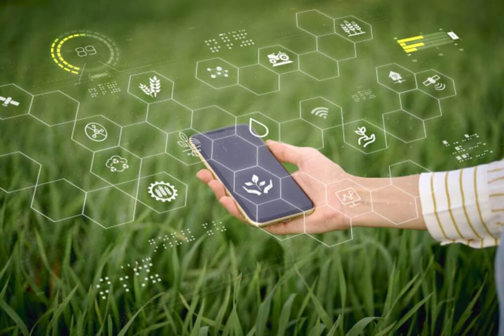 Analítica y decisiones inteligentes